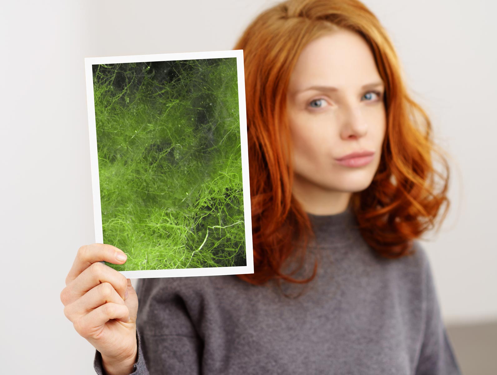 1.1. Was sind Fadenalgen? Definition und Beschreibung